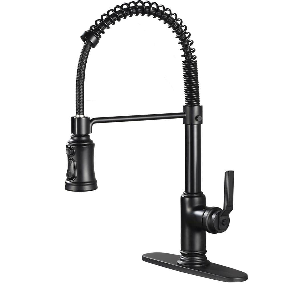 Single Handle Pull Down Sprayer Kitchen Faucet with Advanced Spray Pull Out