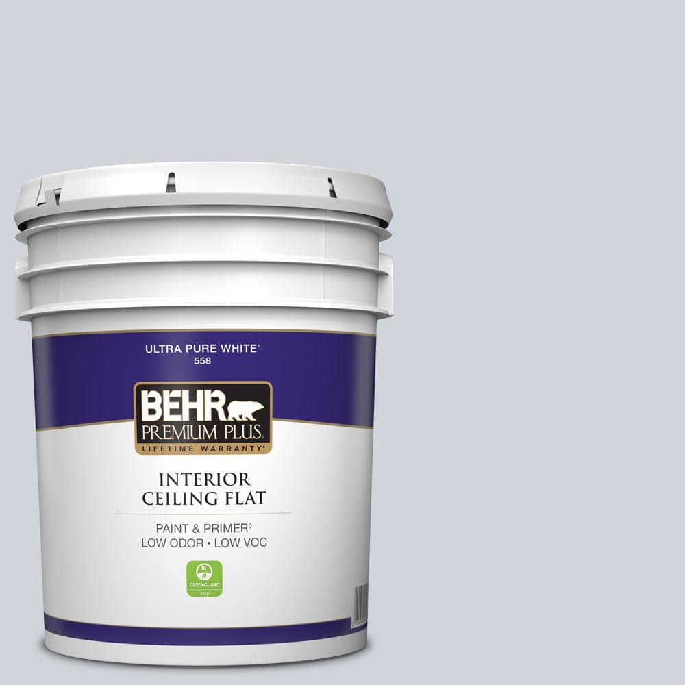 5 gal. #S550-1 Blueberry Whip Ceiling Flat Interior Paint price history on PriceWatchPro