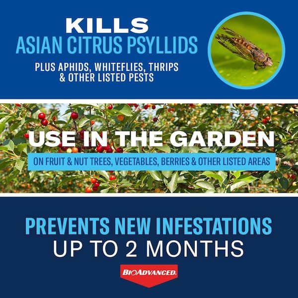 32 oz. Concentrated Outdoor Fruit and Citrus Tree Insect Killer