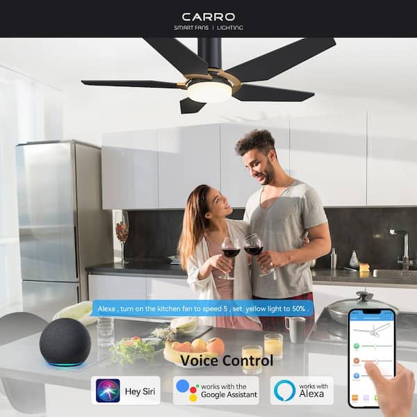 Voyager 48 in. Dimmable LED Indoor/Outdoor Black Smart Ceiling Fan with Light and Remote, Works with Alexa/Google Home