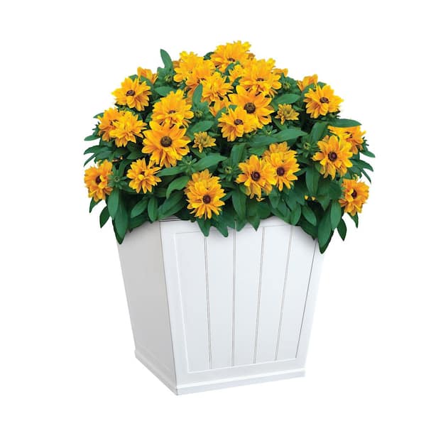 Eden Medium White Resin Lightweight Self-Watering Square Planter (14.1 in. L x 14.1 in. W x 14 in. H)