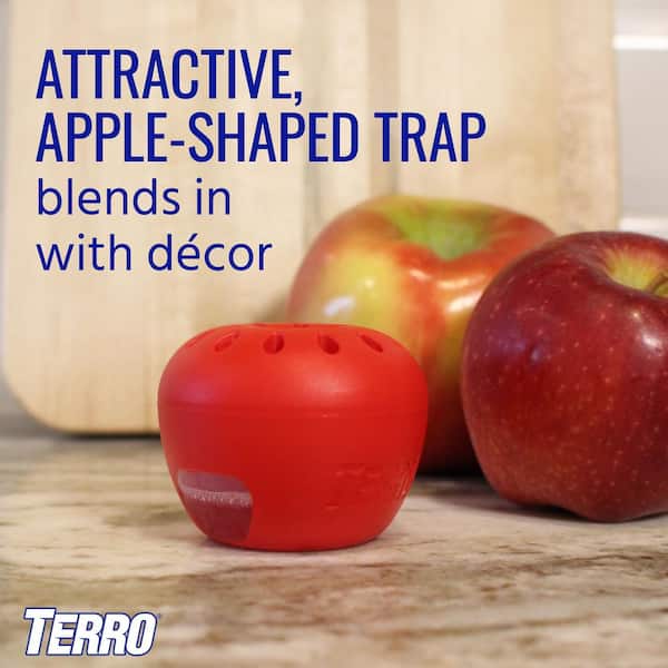  Fruit Fly Trap for Indoor- Non-Toxic Insects Bait