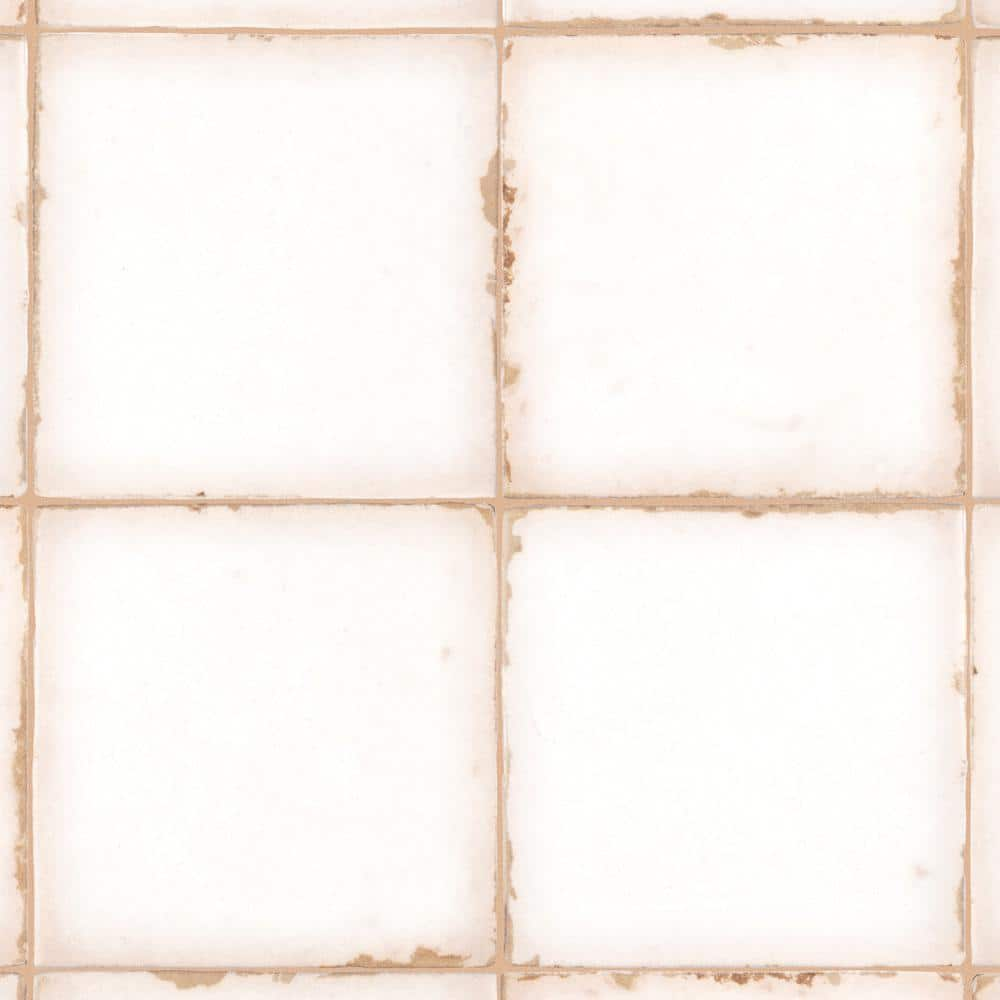 Merola Tile Archivo Plain 4 7 8 In X 4 7 8 In Ceramic Floor And