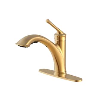 Hemming Single-Handle Pull-Out Sprayer Kitchen Faucet Deckplate Included in Brushed Gold