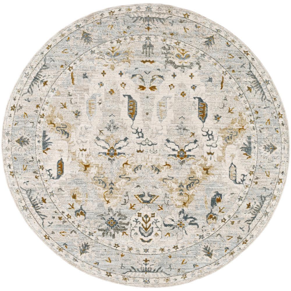 Dresden 5 ft. Round Gray/Blue Oriental Indoor Area Rug price history on PriceWatchPro