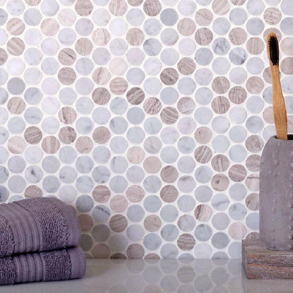 Gray and Beige Penny Polished Marble Mosaic Tile Pack
