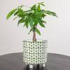 Green and White Footed Stoneware Planter with Abstract Print