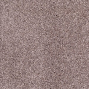 Coral Reef I - Smoky Amethyst - Purple 65.5 oz. Nylon Texture Installed Carpet