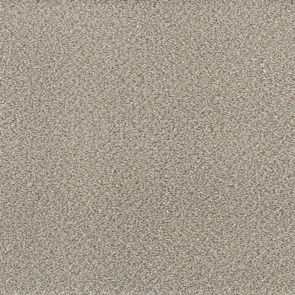 Home Decorators Collection Spicework I  - Findlay - Beige 40 oz. SD Polyester Texture Installed Carpet