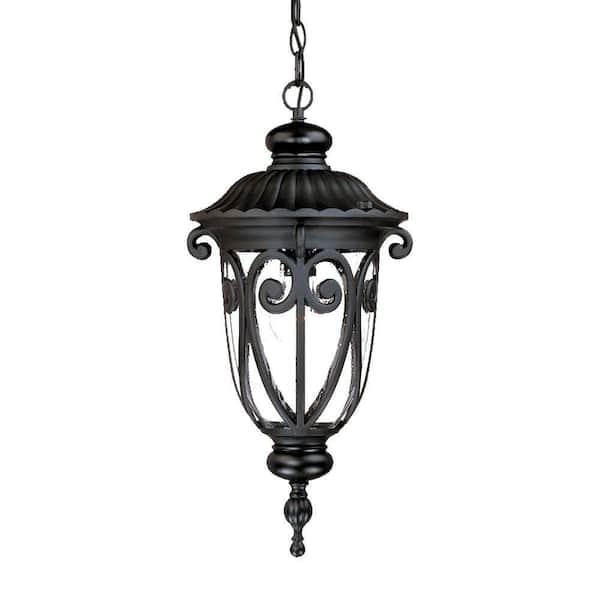 Acclaim Lighting Naples Collection 1-Light Matte Black Outdoor Hanging Lantern Light Fixture