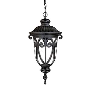 Naples Collection 1-Light Matte Black Outdoor Hanging Lantern Light Fixture