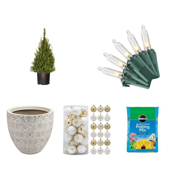 2.5 Gal. Dwarf Alberta Spruce, 50 LED Lights, 15 in. Planter, 30 Ornaments and 25 qt. Potting Mix Combo