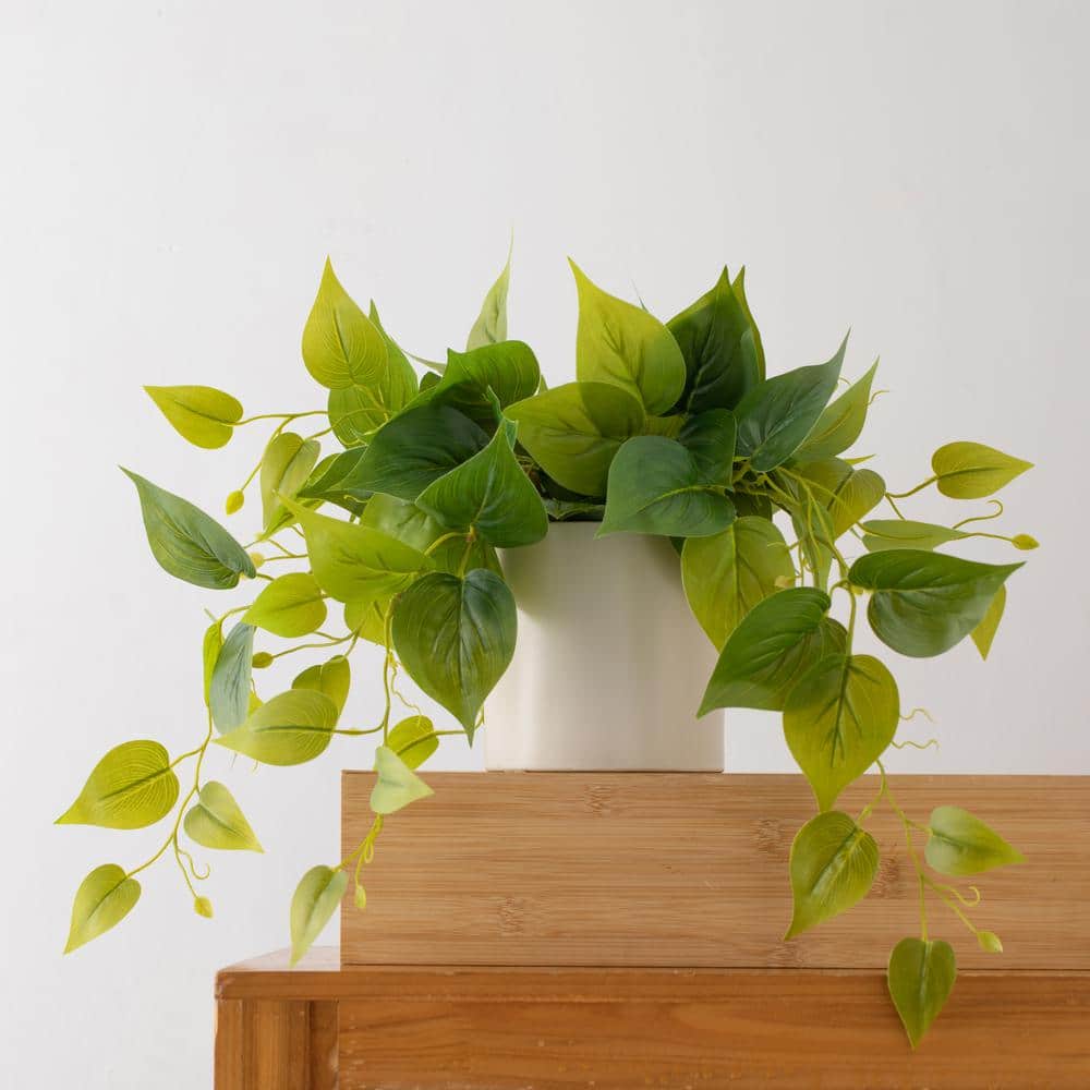 Elegant Potted White Pothos Ivy, 13in Plastic Outdoor Plant