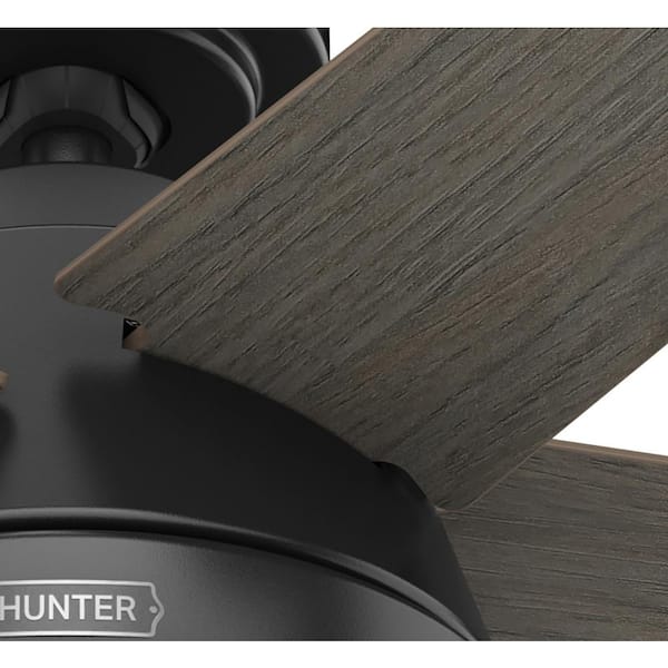 Hunter - Burroughs 44 in. Indoor Matte Black Ceiling Fan with Light Kit