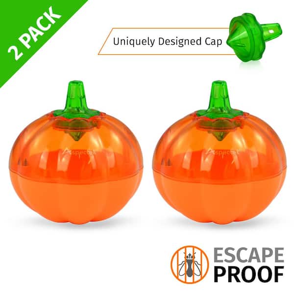 Pumpkin Shape Fruit Fly Trap (Pack of 2)