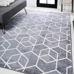 Tumbling Blocks Modern Geometric Gray/White 5 ft. x 8 ft. Area Rug