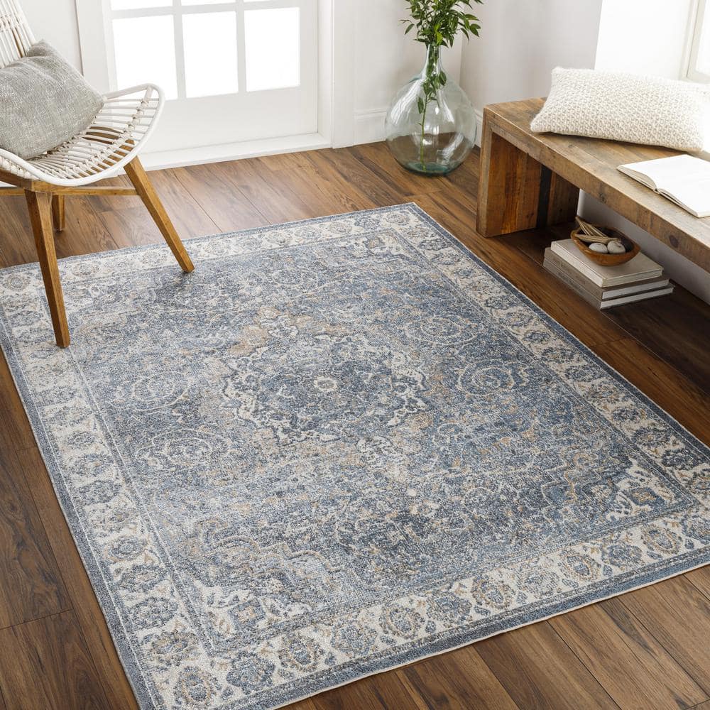 Lillian SkyBlue 8 ft. x 10 ft. Indoor Machine-Washable  Area Rug price history on PriceWatchPro