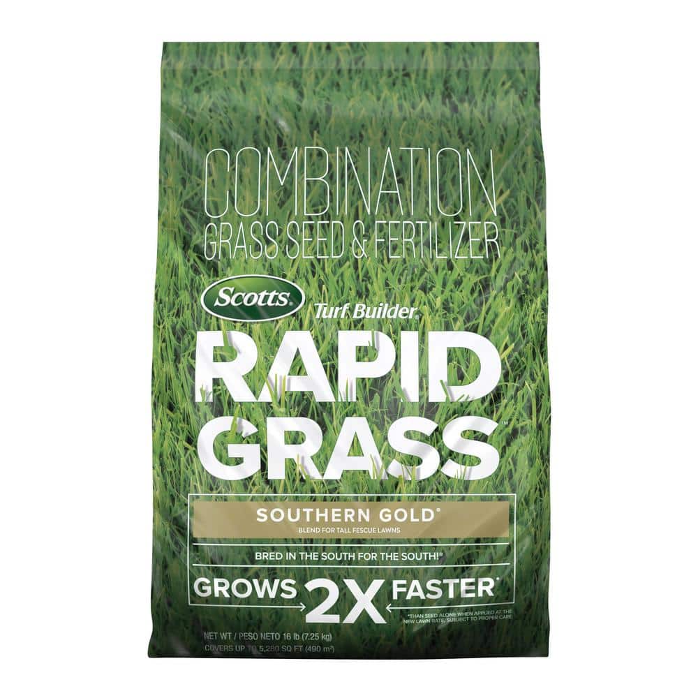 Scotts Turf Builder Rapid Grass Southern Gold Blend for Tall Fescue Lawns 16 lbs. Combination Seed and Fertilizer