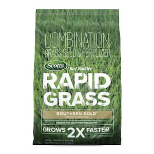 Turf Builder Rapid Grass Southern Gold Blend for Tall Fescue Lawns 16 lbs. Combination Seed and Fertilizer