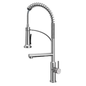 Adlington Single Handle Pull-Down Sprayer Kitchen Faucet in Stainless Steel