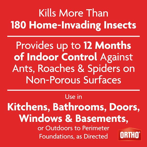 Bug B-gon Insect Killer for Indoor Plus Perimeter1, 1 gal. Ant, Cockroach and Spider Insect Killer with Comfort Wand