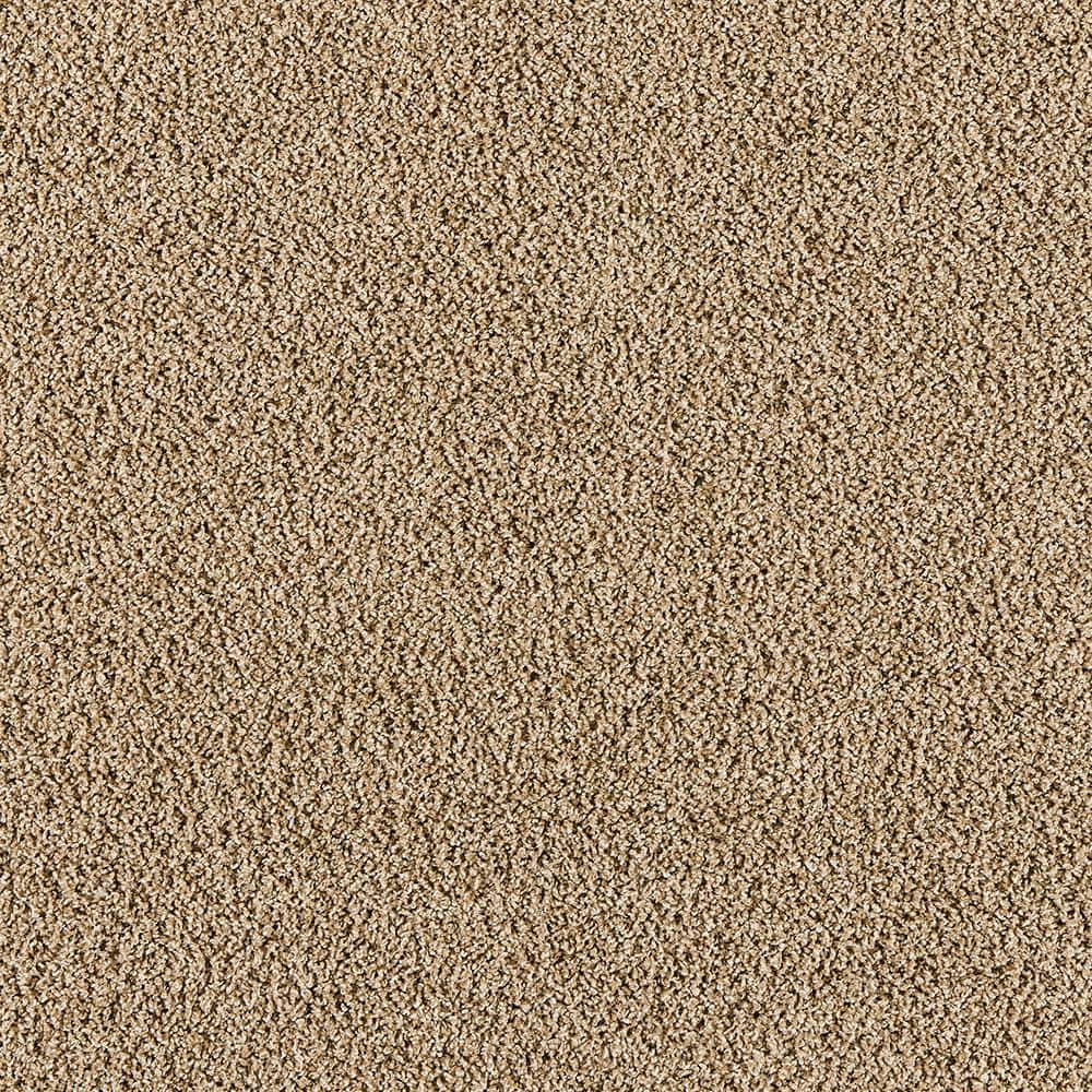 8 in. x 8 in. Texture Carpet Sample - Radiant Retreat I  - Color Soft Sandstone price history on PriceWatchPro