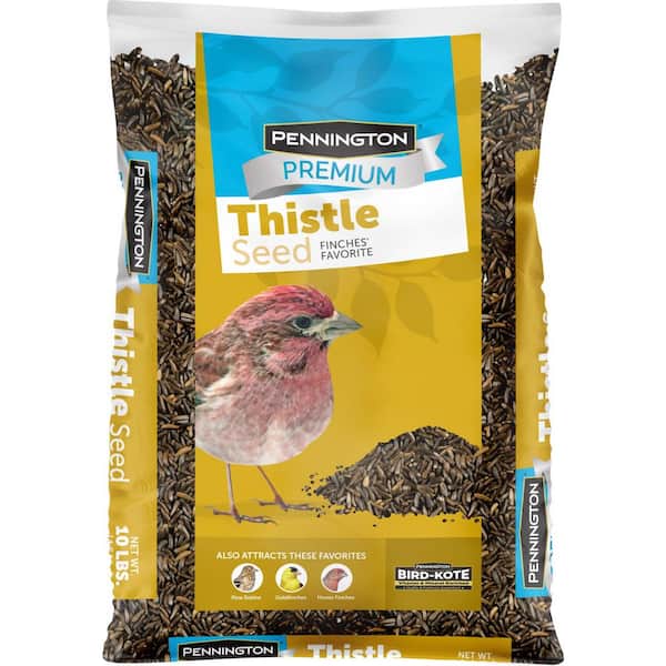 Pennington Premium 10 lb. Thistle Nyjer Bird Seed Food for Finches and Other Wild Birds
