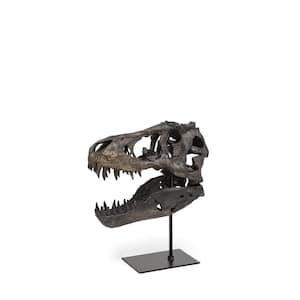 12 in. Brown Resin Tyrannosaurus Rex Skull Decor Piece