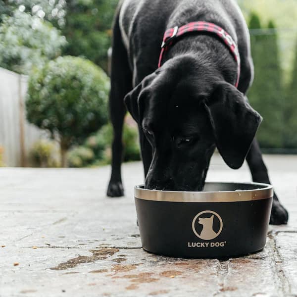Supreme - Dog Bowl - UG.SHAFT