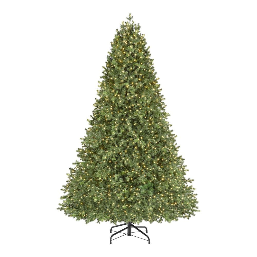 Home Decorators Collection 7.5 ft Elegant Grand Fir LED