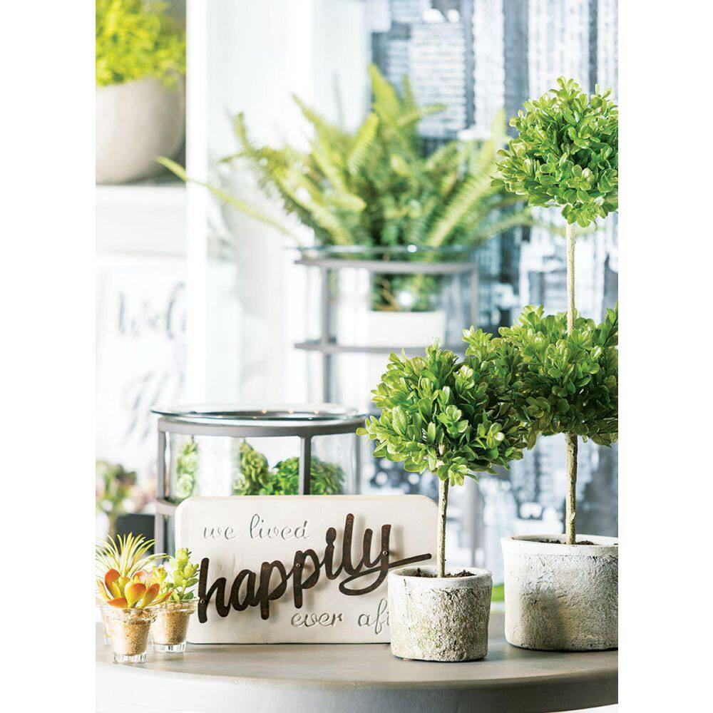 Chic White Ceramic Potted Boxwood Topiary for Indoor Elegance