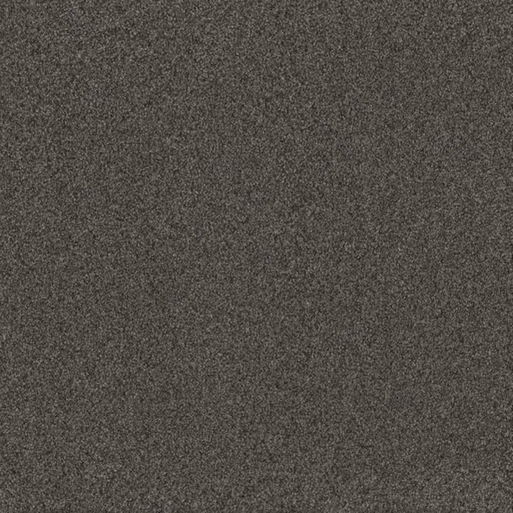 8 in. x 8 in. Texture Carpet Sample-Harpstring II-Color Moon price history on PriceWatchPro
