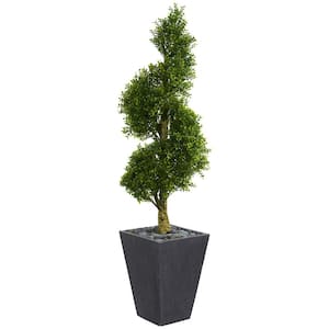 5 ft. High Indoor/Outdoor Boxwood Spiral Topiary Artificial Tree in Slate Planter