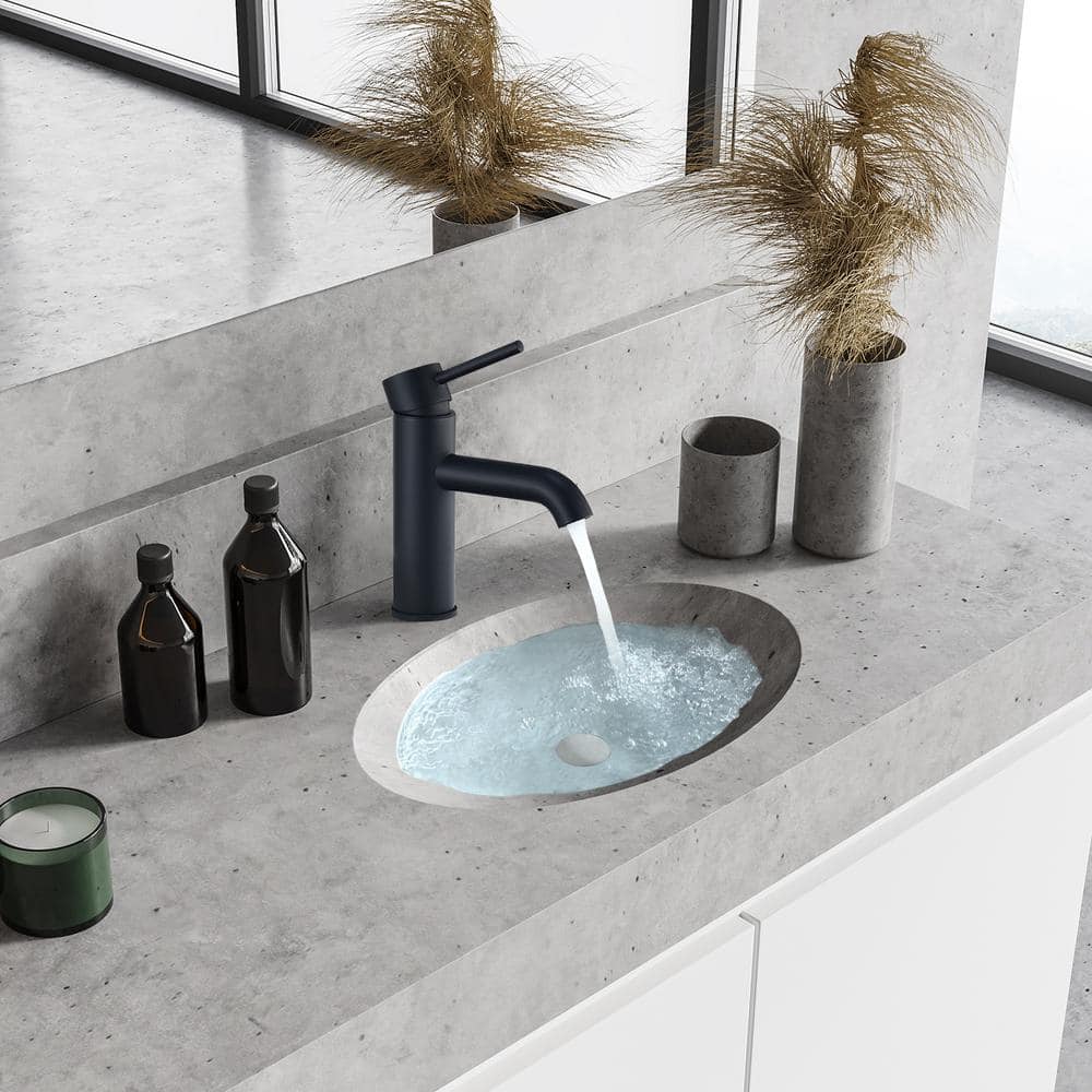 Matte Black Brass Single-Handle Bathroom Faucet