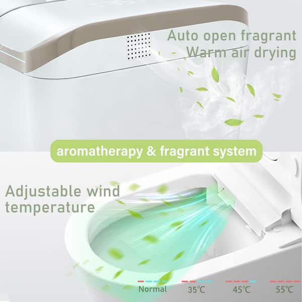 Yulika DJ-U2 One Piece Bidet Toilet with Heated Seat & Remote Control