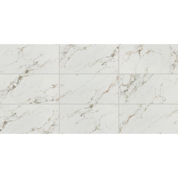 Daltile Maisto Safari Calacatta 24 in. x 48 in. Polished Porcelain