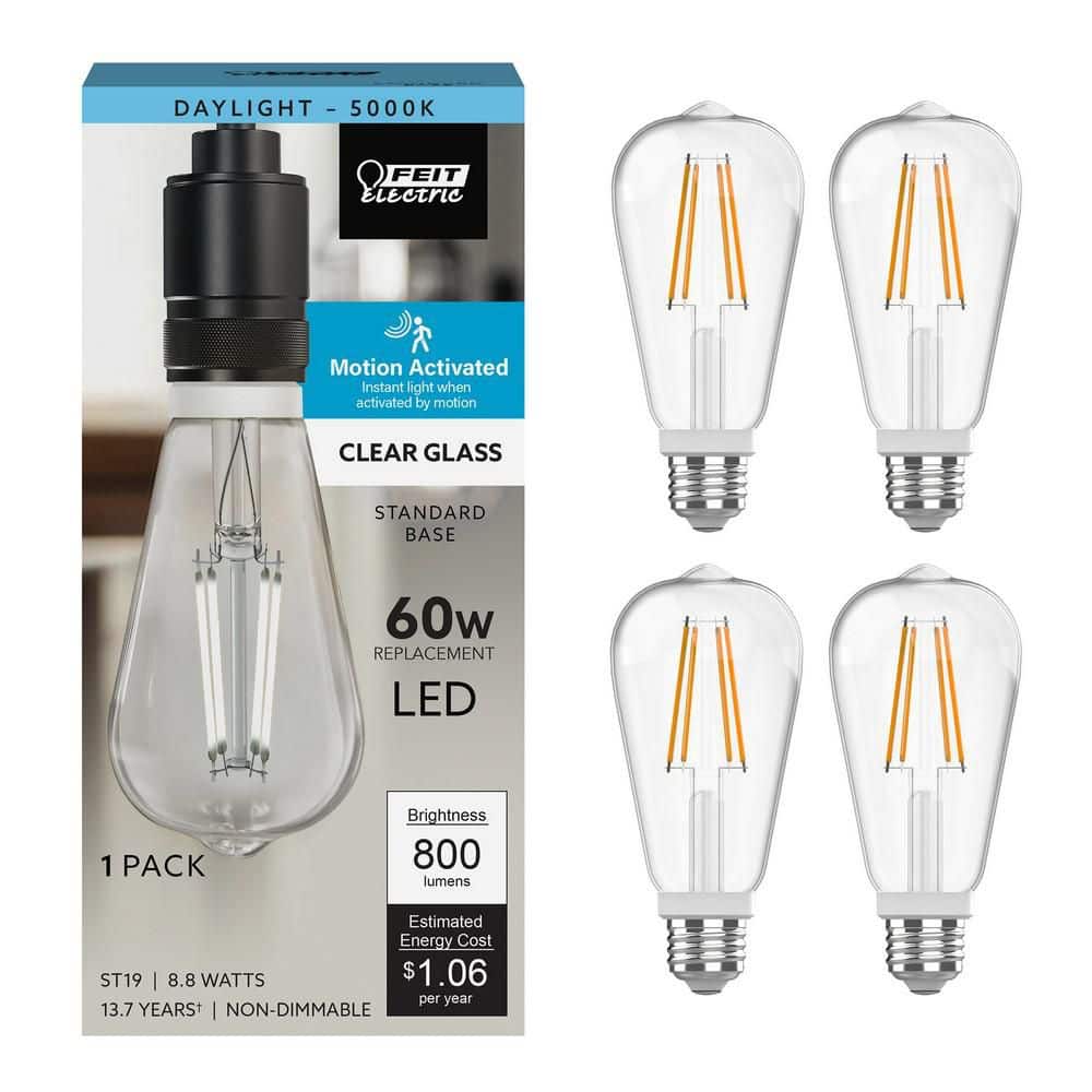 Feit Electric 60-Watt Equivalent ST19 Edison Vintage Filament
