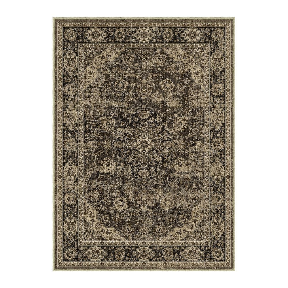 Goodberg 3 ft. X 5 ft. Brown Vintage Medallion Distressed Area Rug price history on PriceWatchPro