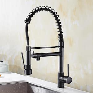 Single-Handle Pull-Down Sprayer Kitchen Faucet in Matte Black