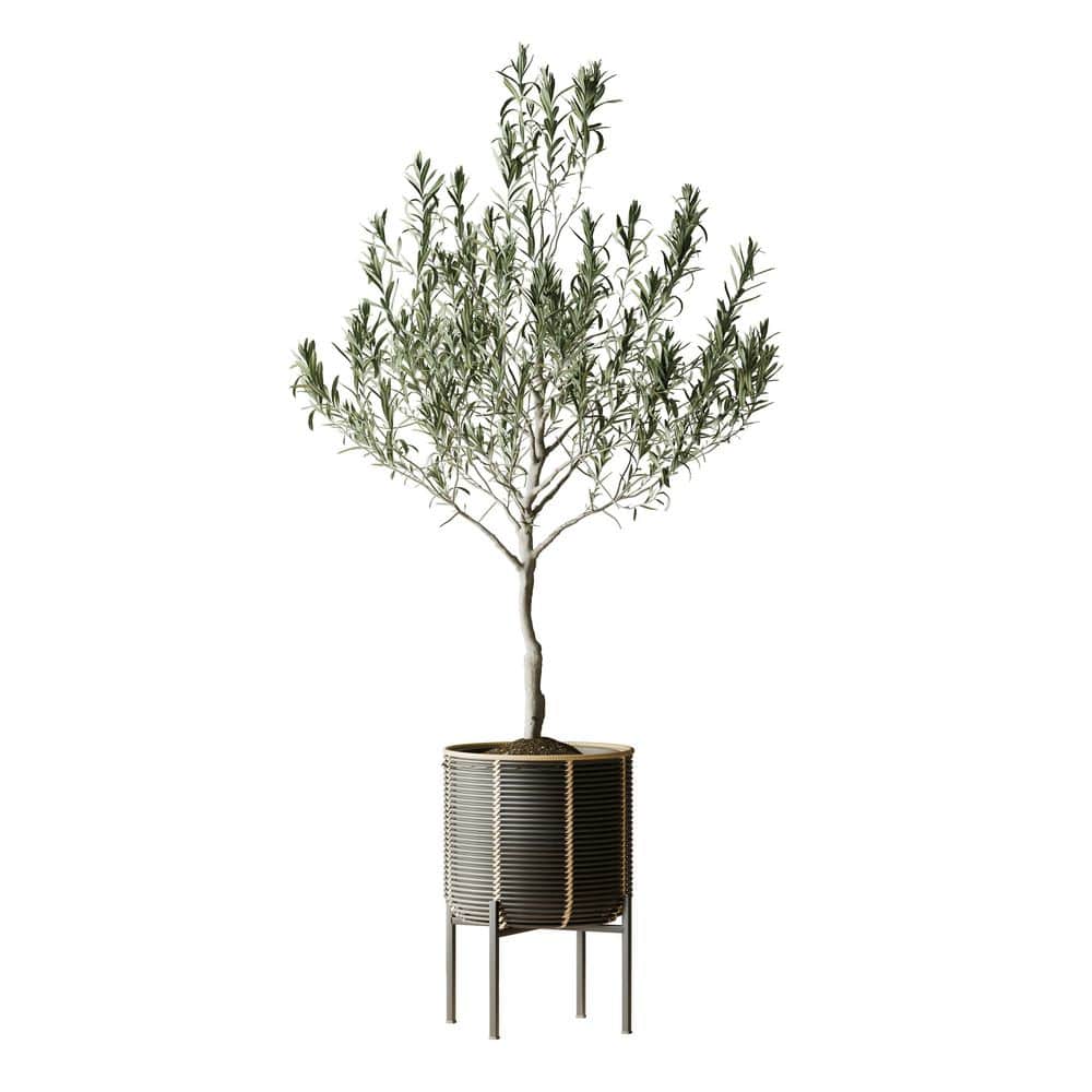 10.75 in. W Indoor Outdoor Black Resin Rattan Planter with Metal Stand price history on PriceWatchPro