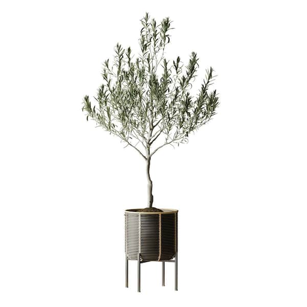 10.75 in. W Indoor Outdoor Black Resin Rattan Planter with Metal Stand