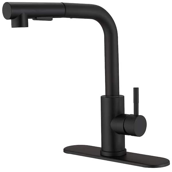 BWE 2 Sprayer Single Hole Single-Handle Pull Out Kitchen Faucet in Matte Black