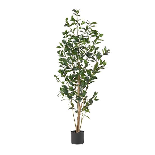 Unbranded Realistic 5 ft. Artificial Laurel Tree in Pot, Faux Decorative Plant for Indoor Outdoor Decorative, Easy Maintenance