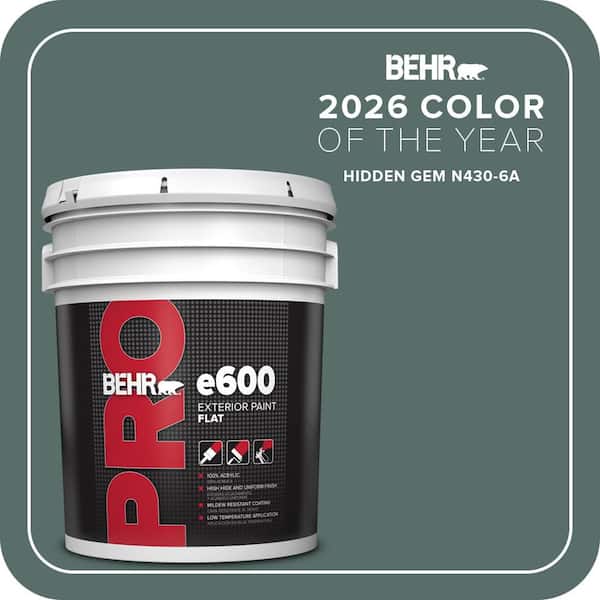 5 gal. #N430-6A Hidden Gem Flat Exterior Paint