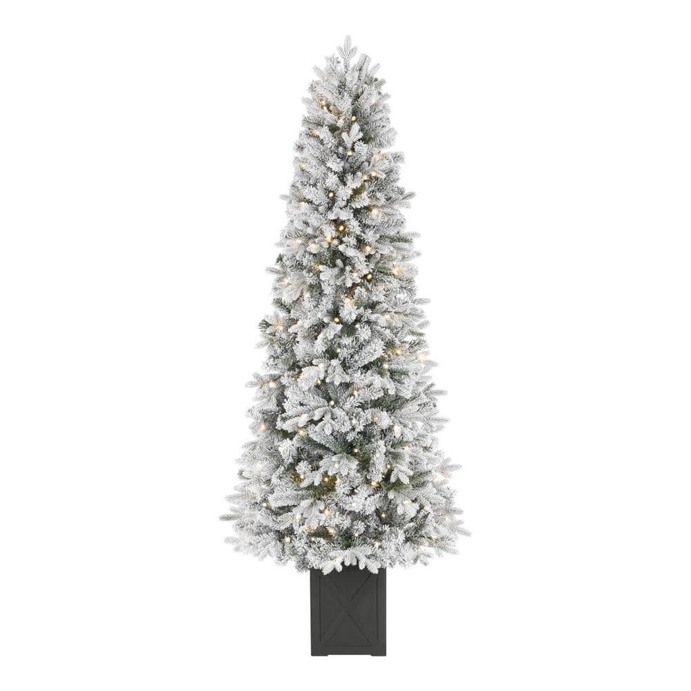Home Accents Holiday Pre Lit Christmas Trees 6 5 Ft at Leroy Mcnew blog