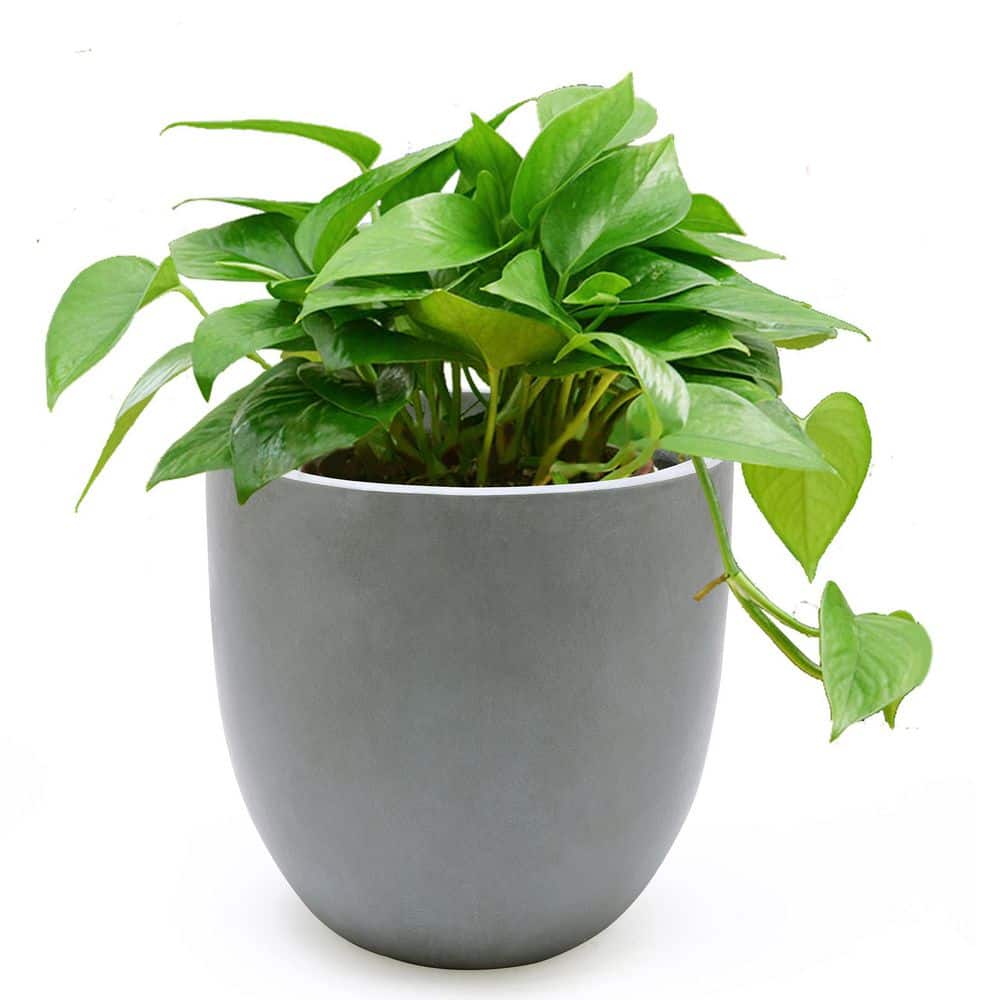 9.2" Gray Magnesium Oxide Round Tapered Planter