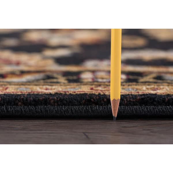 Sensation Border Black 8 ft. x 11 ft. Indoor Area Rug