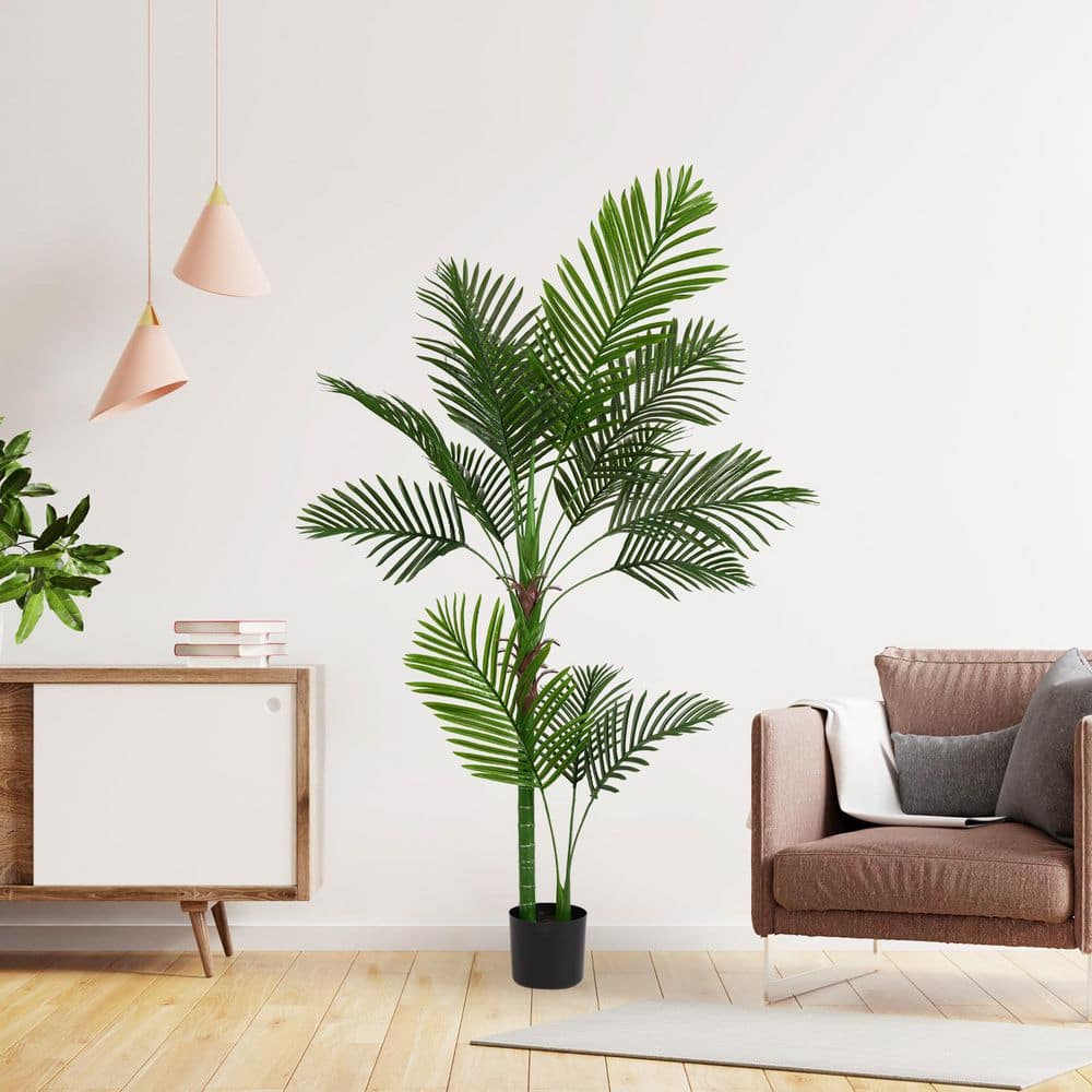 buy variegated monstera deliciosa Buy Monstera Aurea Variegata – Variegated Houseplant – AroidHouse