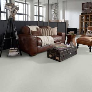Brave Soul I - Clay Bisque - Beige 34.7 oz. Polyester Texture Installed Carpet