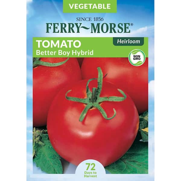 Ferry-Morse Tomato Better Boy Hybrid Pelleted Heirloom Fruit Seed